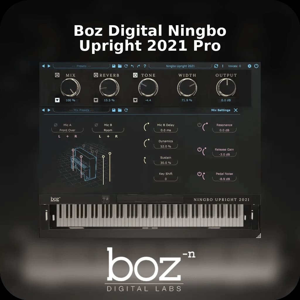 Boz Digital Ningbo Upright 2021 Pro