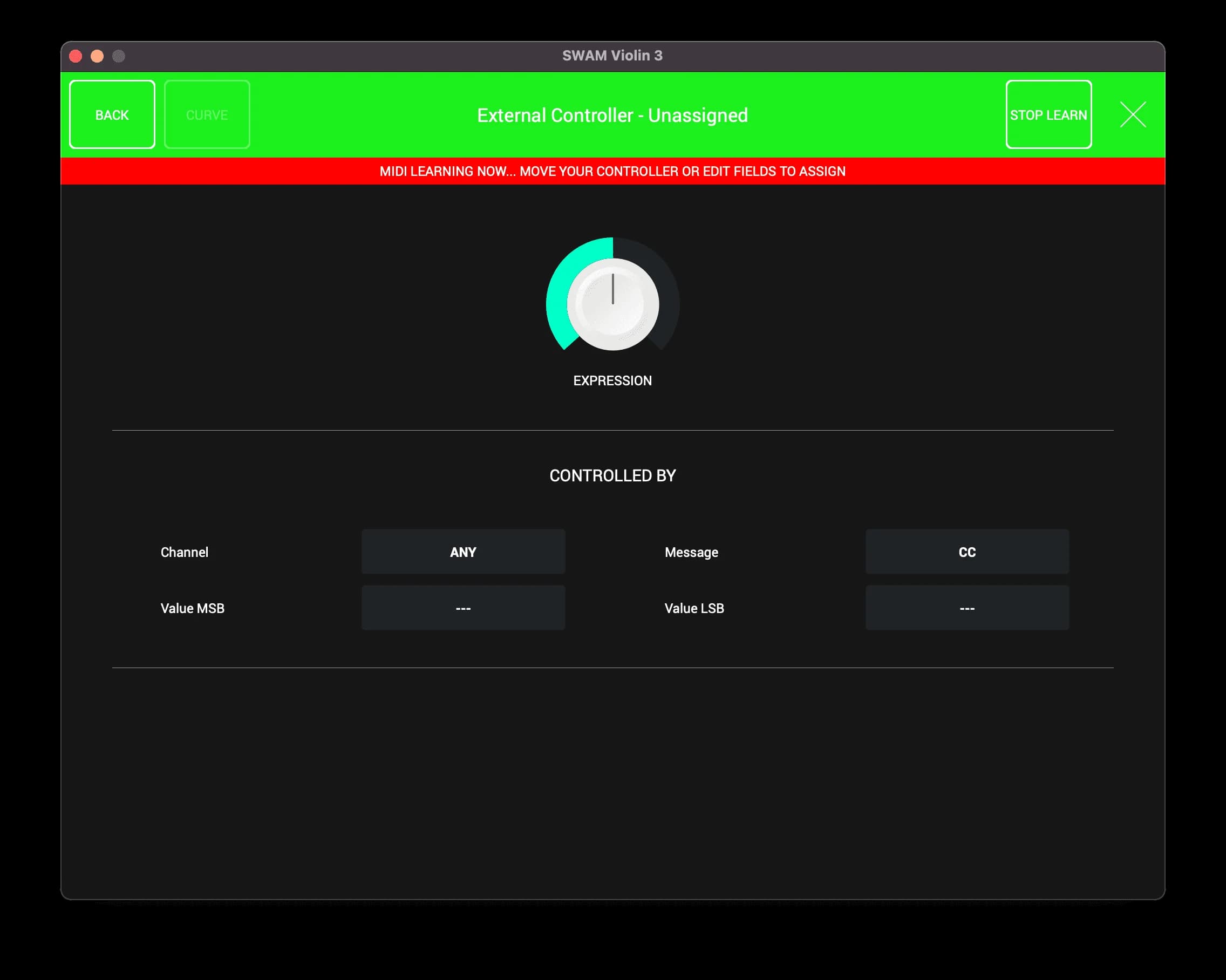 SWAM Violin image 10