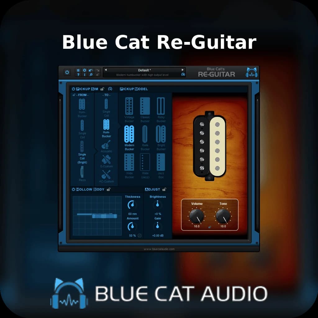 Blue Cat Re-Guitar