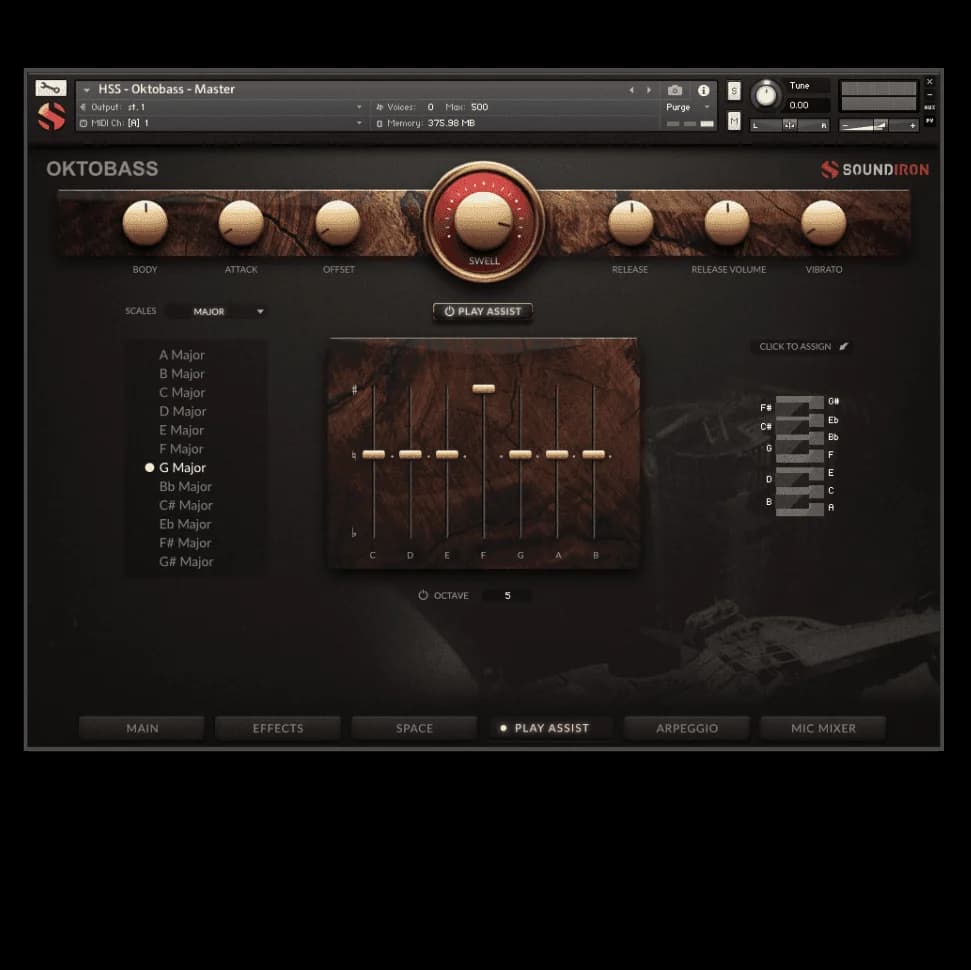 Hyperion Strings Oktobass image 10