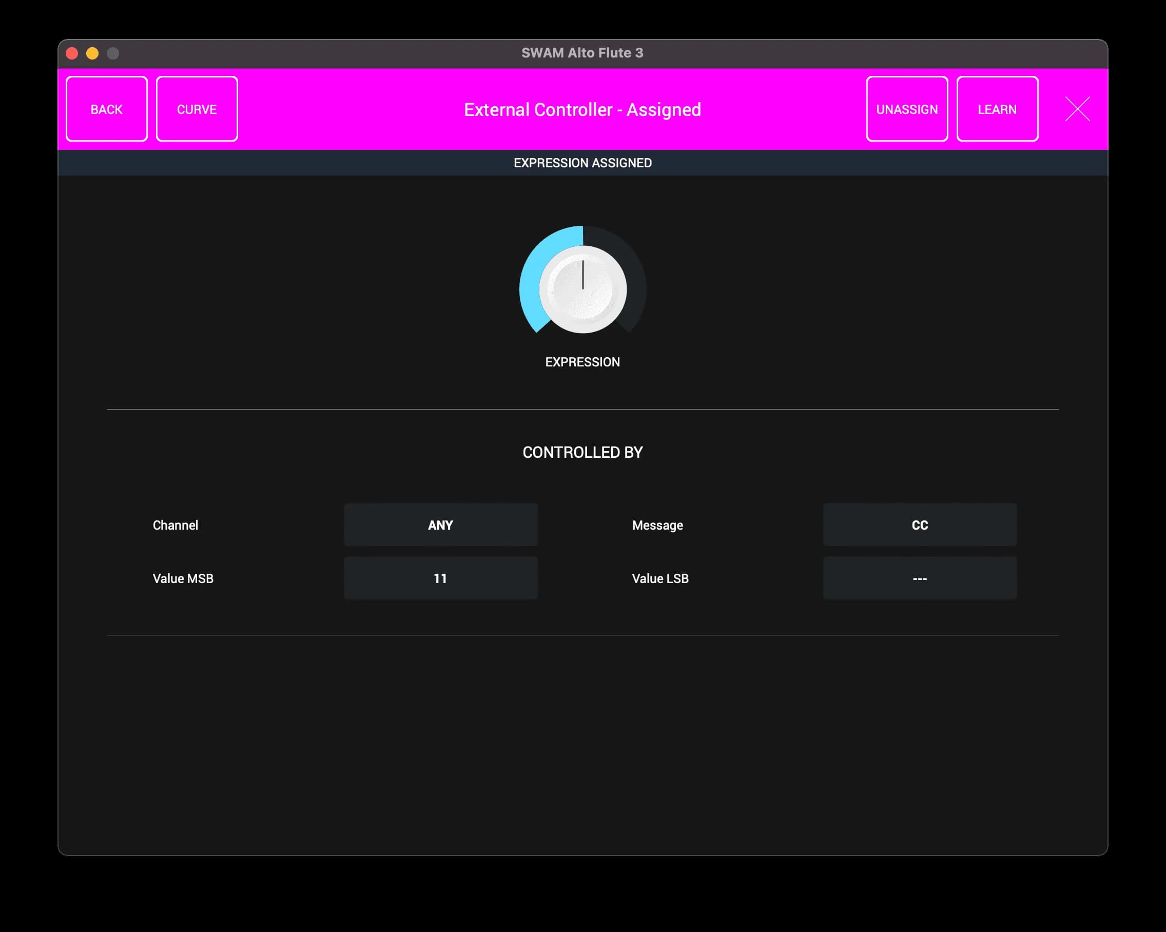 SWAM Flutes image 16