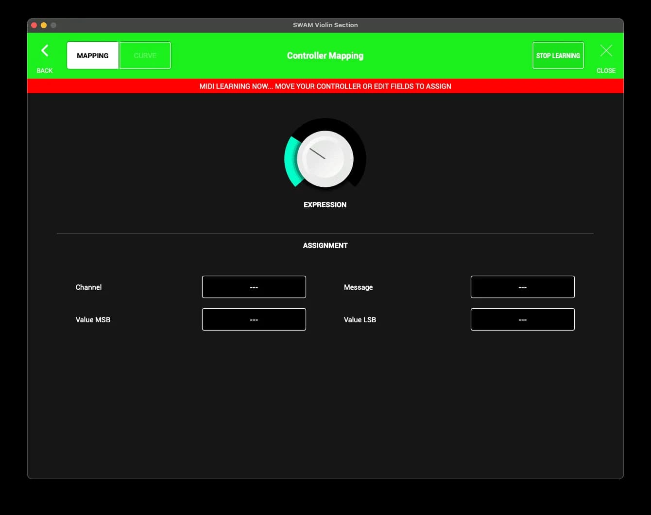 SWAM String Sections image 14
